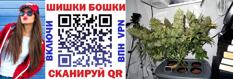 APVP Горнозаводск