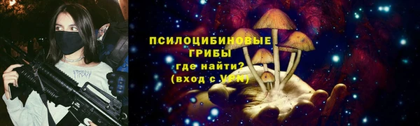 а пвп мука Белокуриха